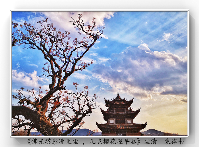 025《佛光塔影凈無塵 ，幾點(diǎn)櫻花迎早春》.jpg